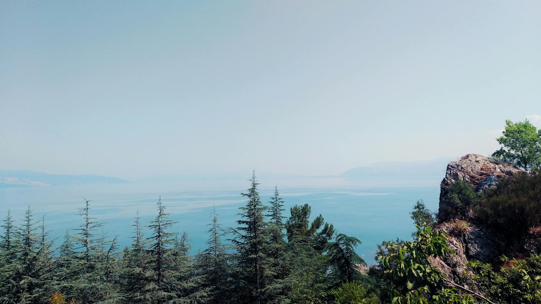 How Mobile is Transforming the SaaS Review Landscape