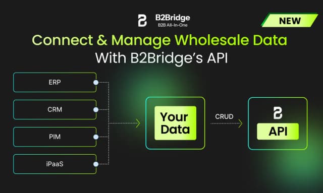 B2Bridge.io screenshot 8