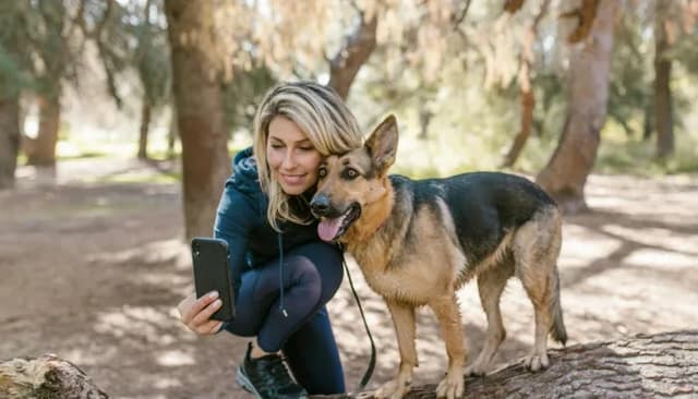 DogWhistles screenshot 1