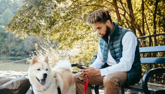 DogWhistles screenshot 4