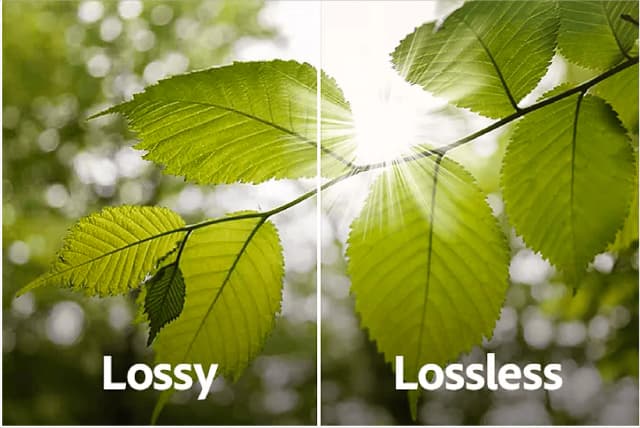 ImagZilla screenshot 1