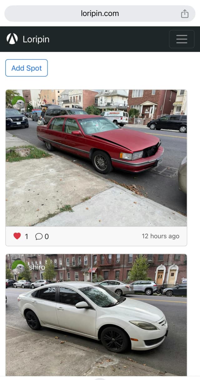 Loripin screenshot 1