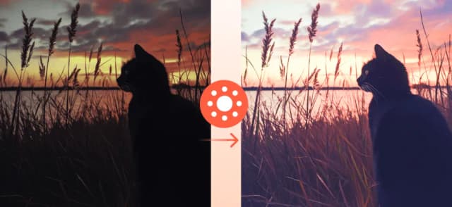 Picwand screenshot 4