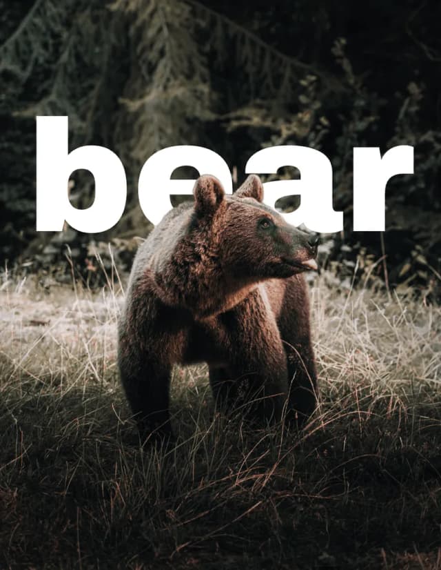 Text Behind Image screenshot 3