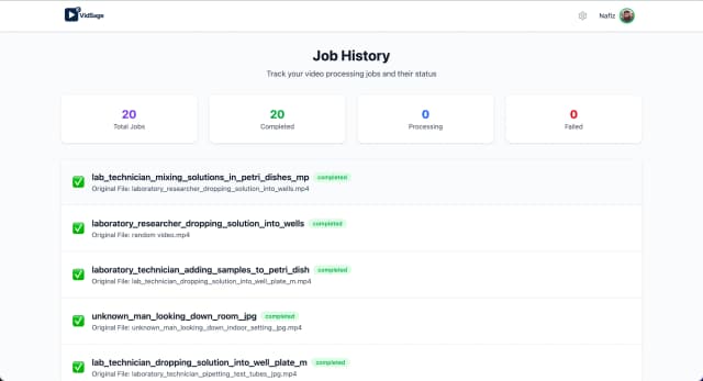 VidSage screenshot 6
