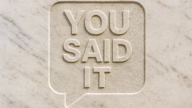 You Said It screenshot 1